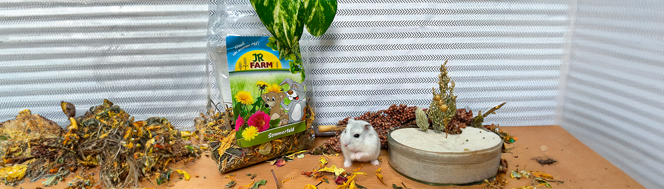 Alt hvad du behøver til dine gnavere fra JR Farm –  Hér hos PetPal!