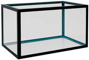 53178573062473_image1