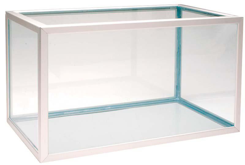 53266408046921_image1