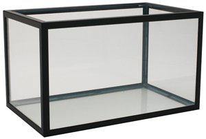 53266600198473_image1