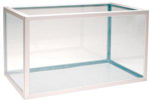 53266407915849_image1