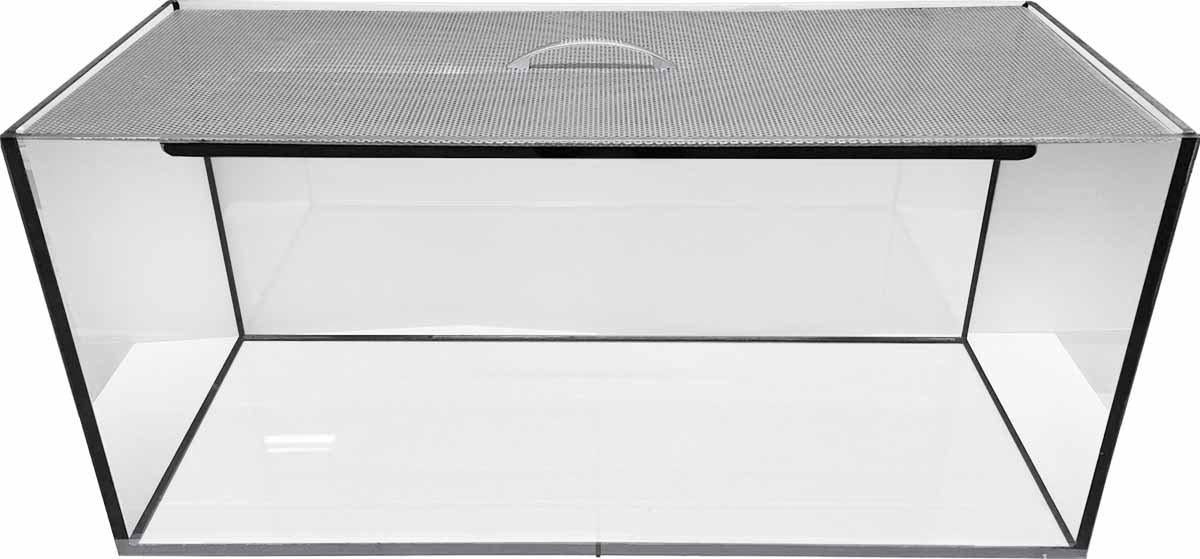 53178764722505_image1