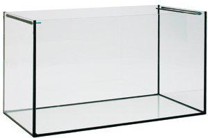 53179771224393_image1