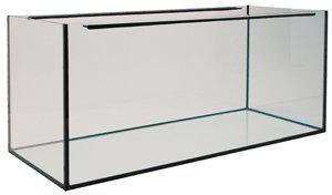 53179771289929_image1