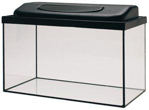 53177424314697_image1