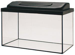 53177424478537_image1