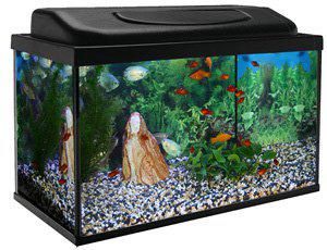 53177424511305_image1