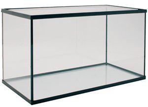 53177226559817_image1