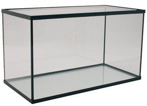 53266457002313_image1