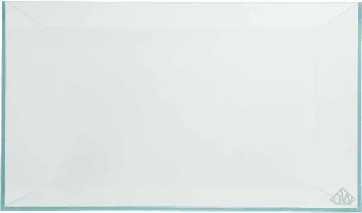 53178247250249_image1