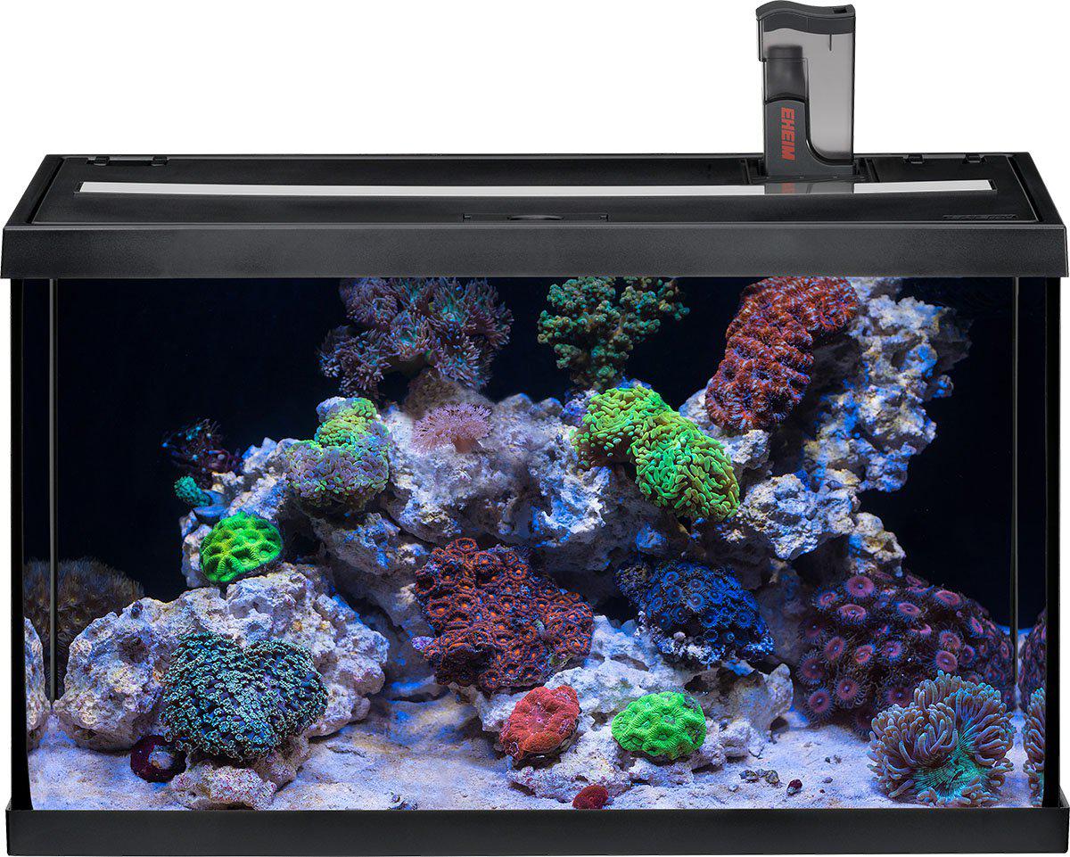 53176512151881_image1