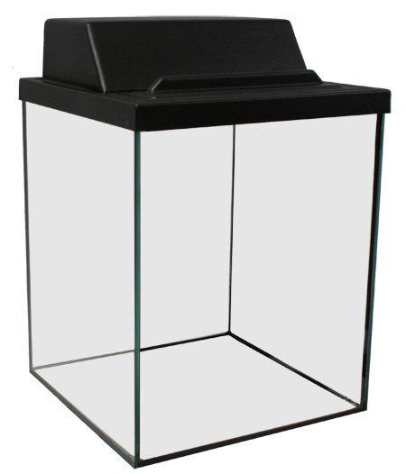 53173969748297_image1