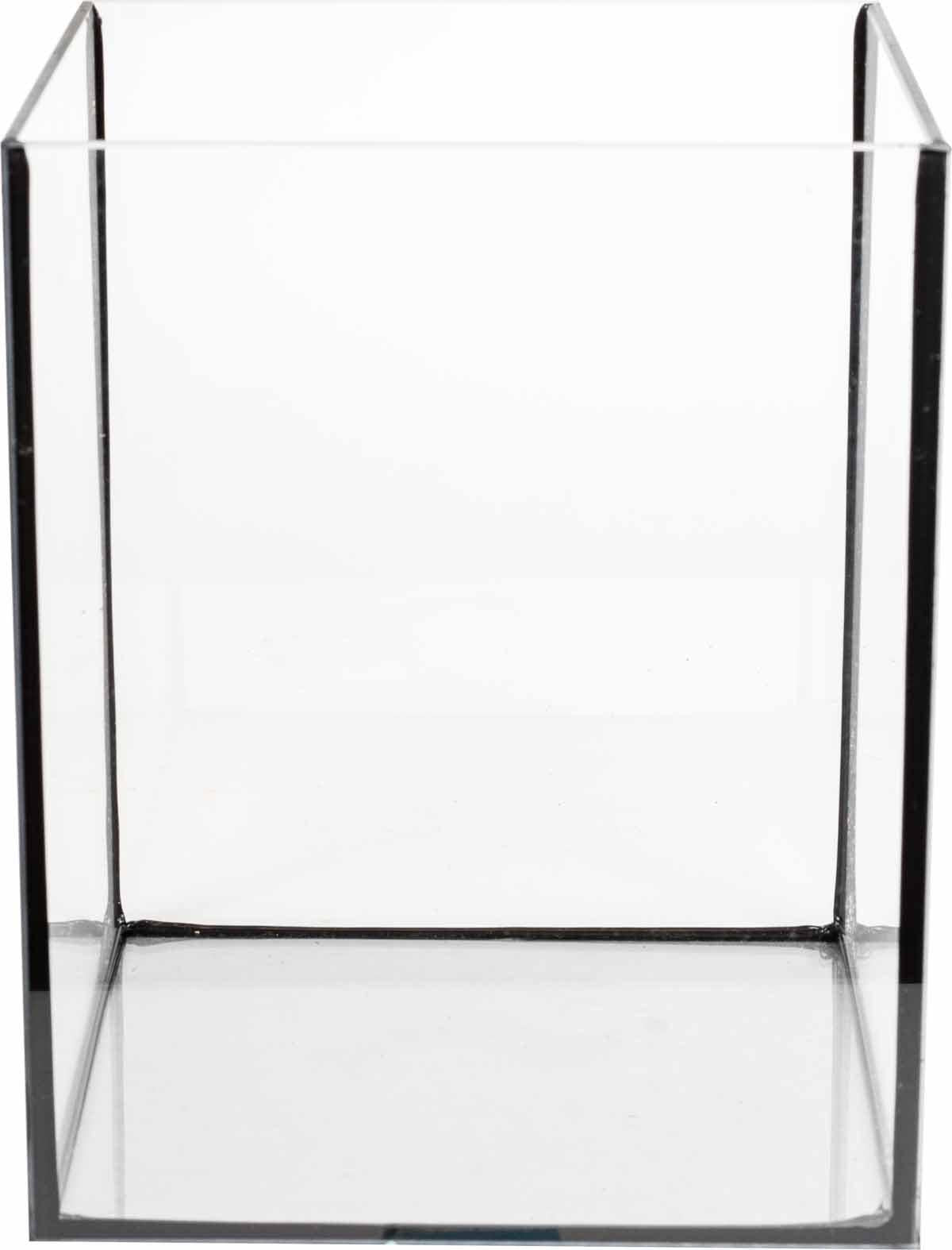 53178549240137_image1