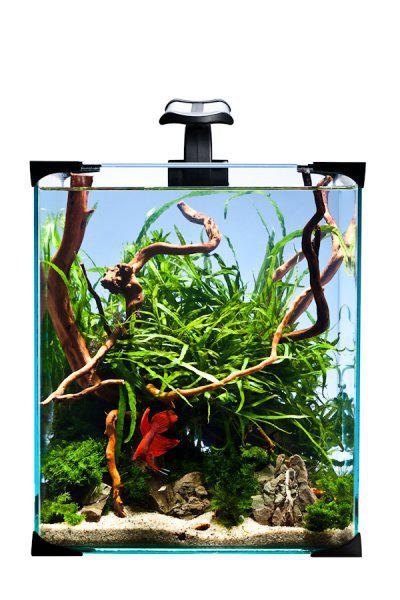 53178425311561_image1