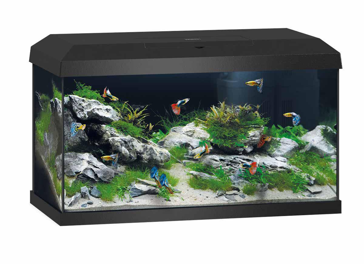 53174726918473_image1