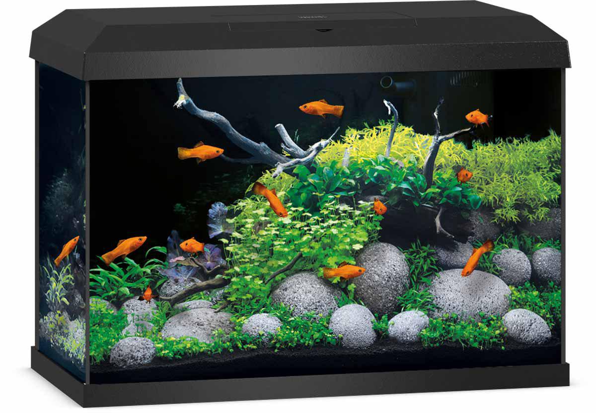 53177537691977_image1