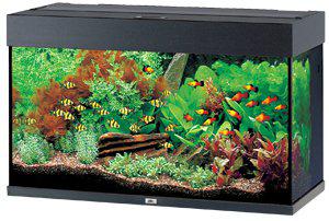 53174022013257_image1