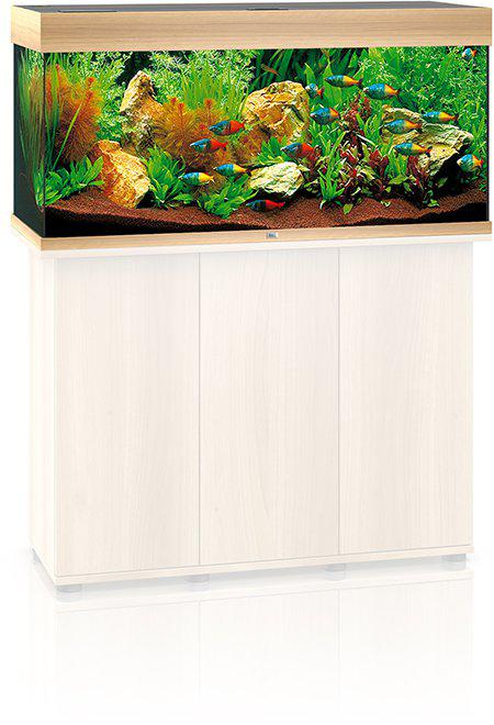 53177986318665_image1