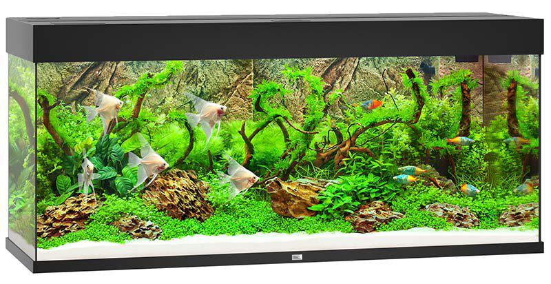 53178807484745_image1