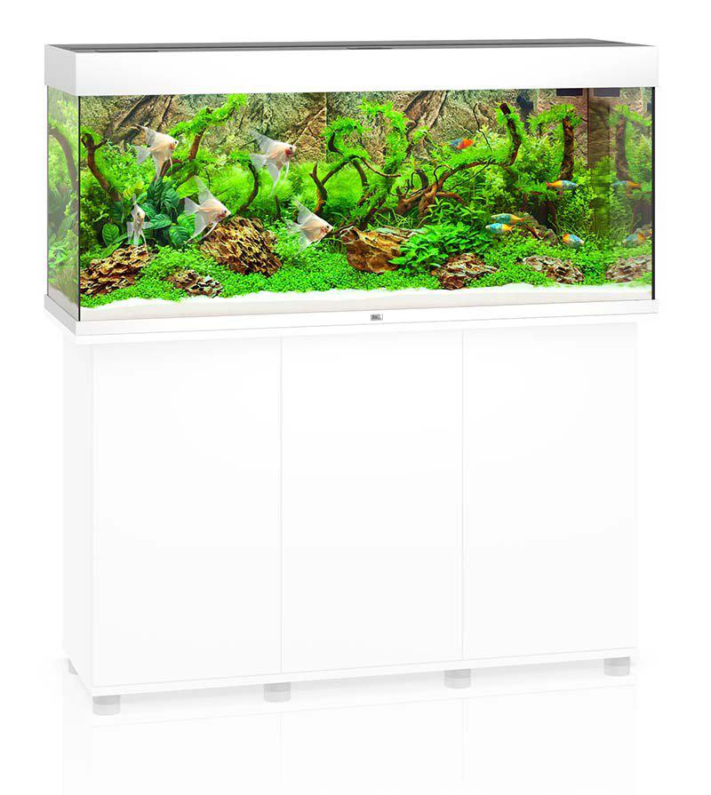 53178807517513_image1