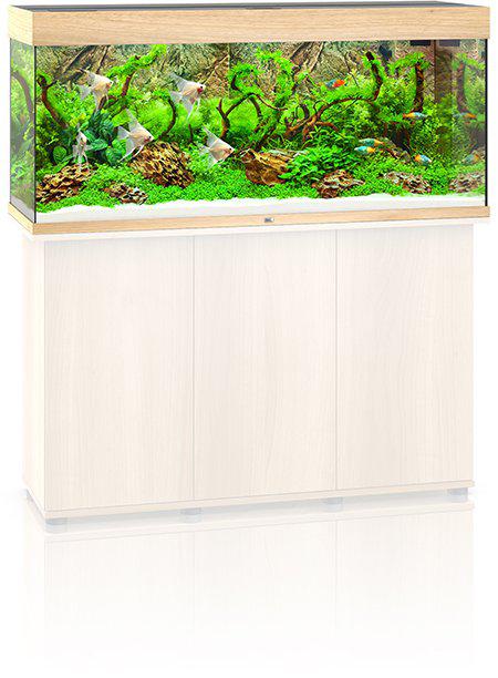 53178807550281_image1