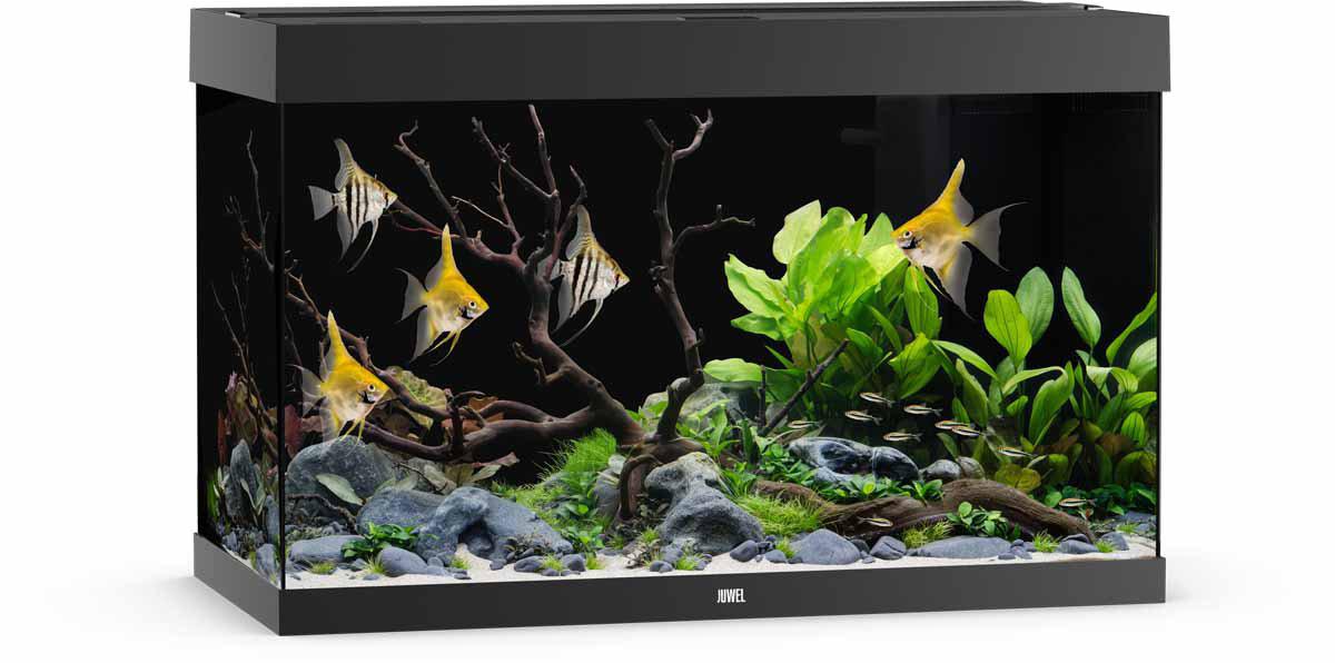 53175181640009_image1