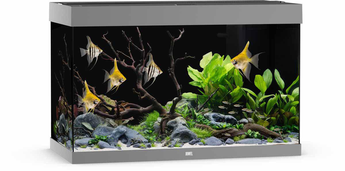 53175181738313_image1