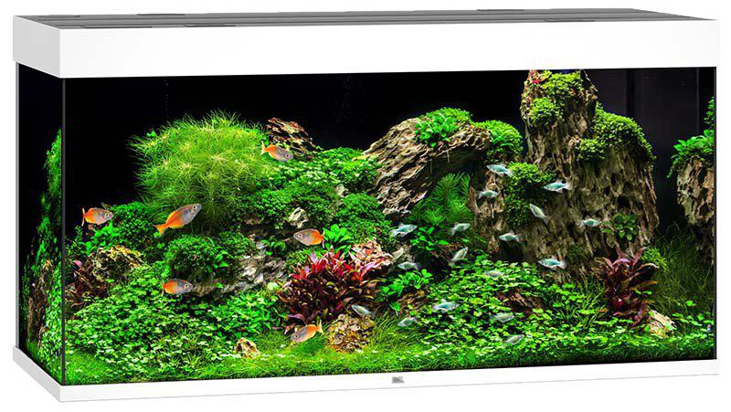 53195344904521_image1