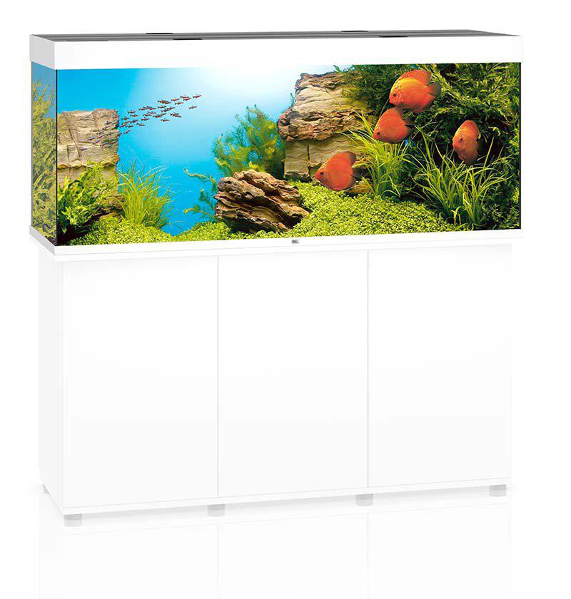 53175552344393_image1