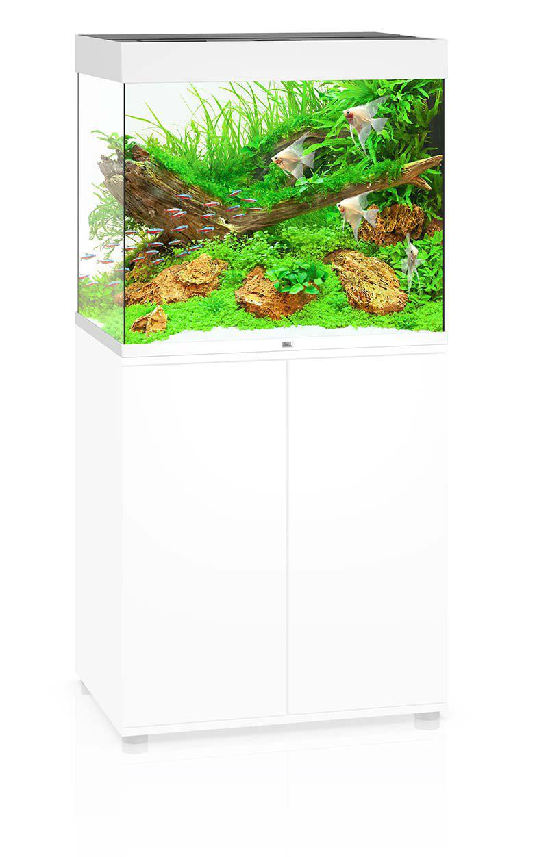 53175675978057_image1