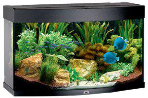 53176272093513_image1