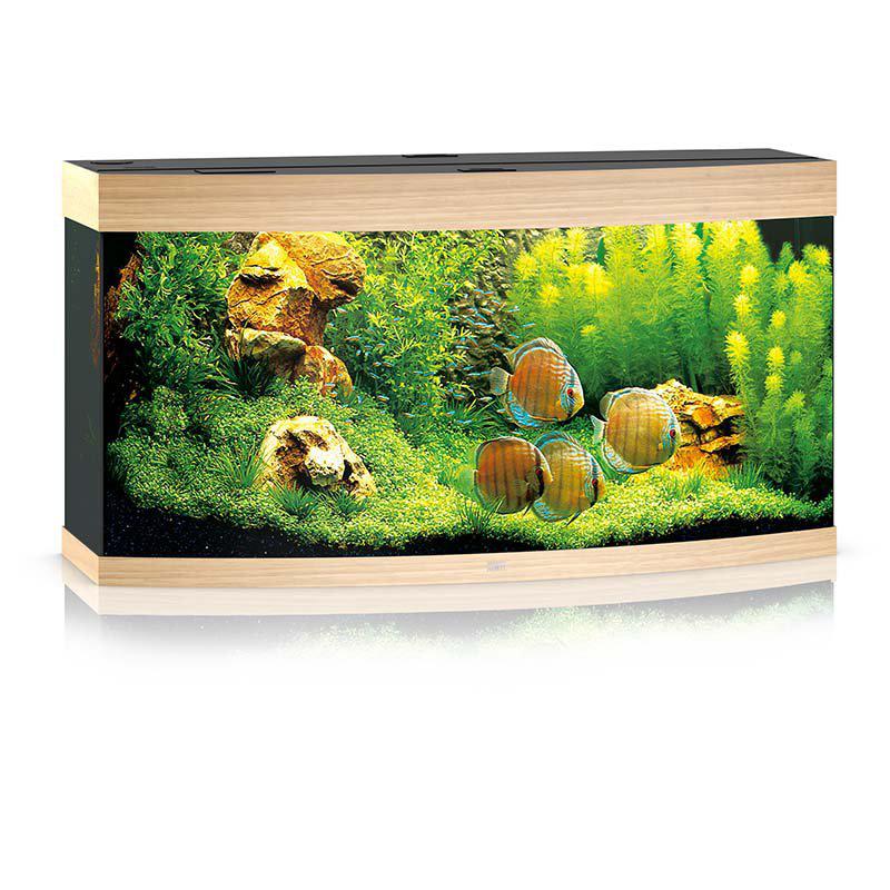 53178392674633_image1