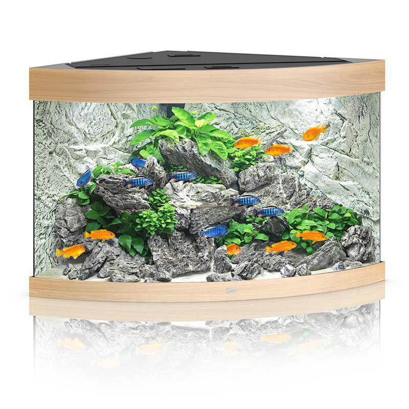 53174145384777_image1