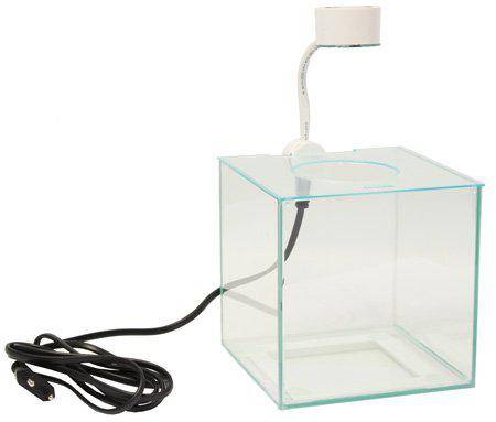 53174212002121_image1