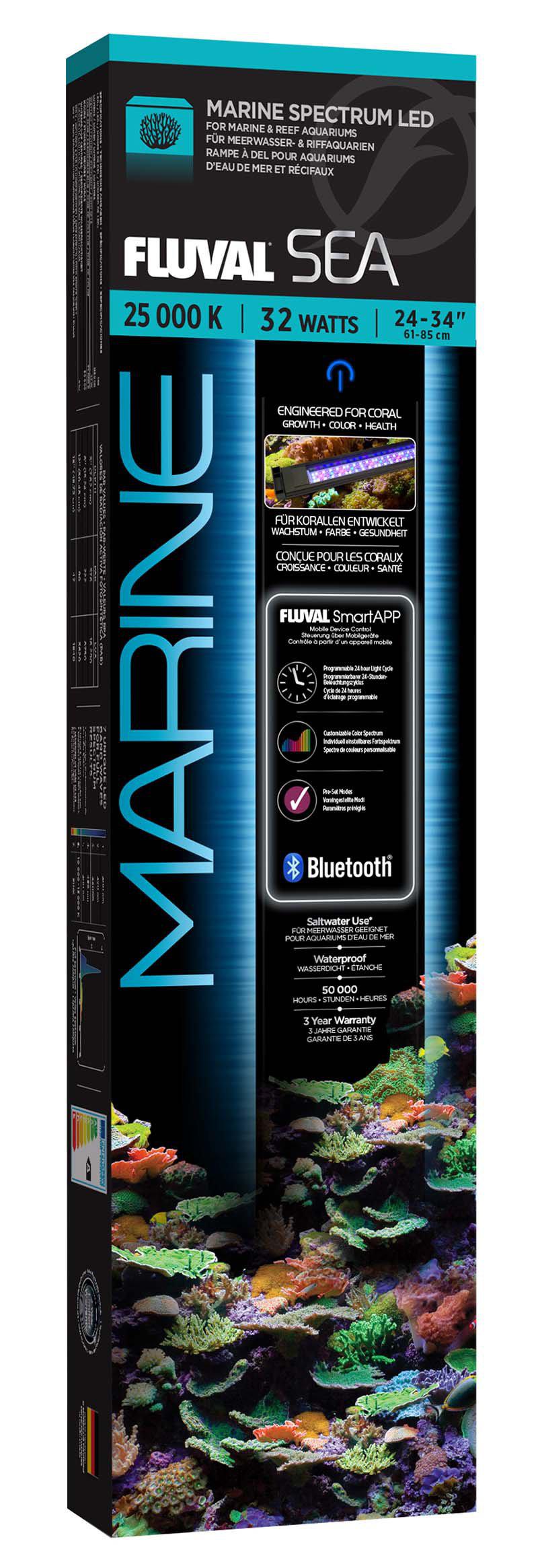 53178526925129_image1