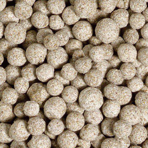 53178387759433_image1