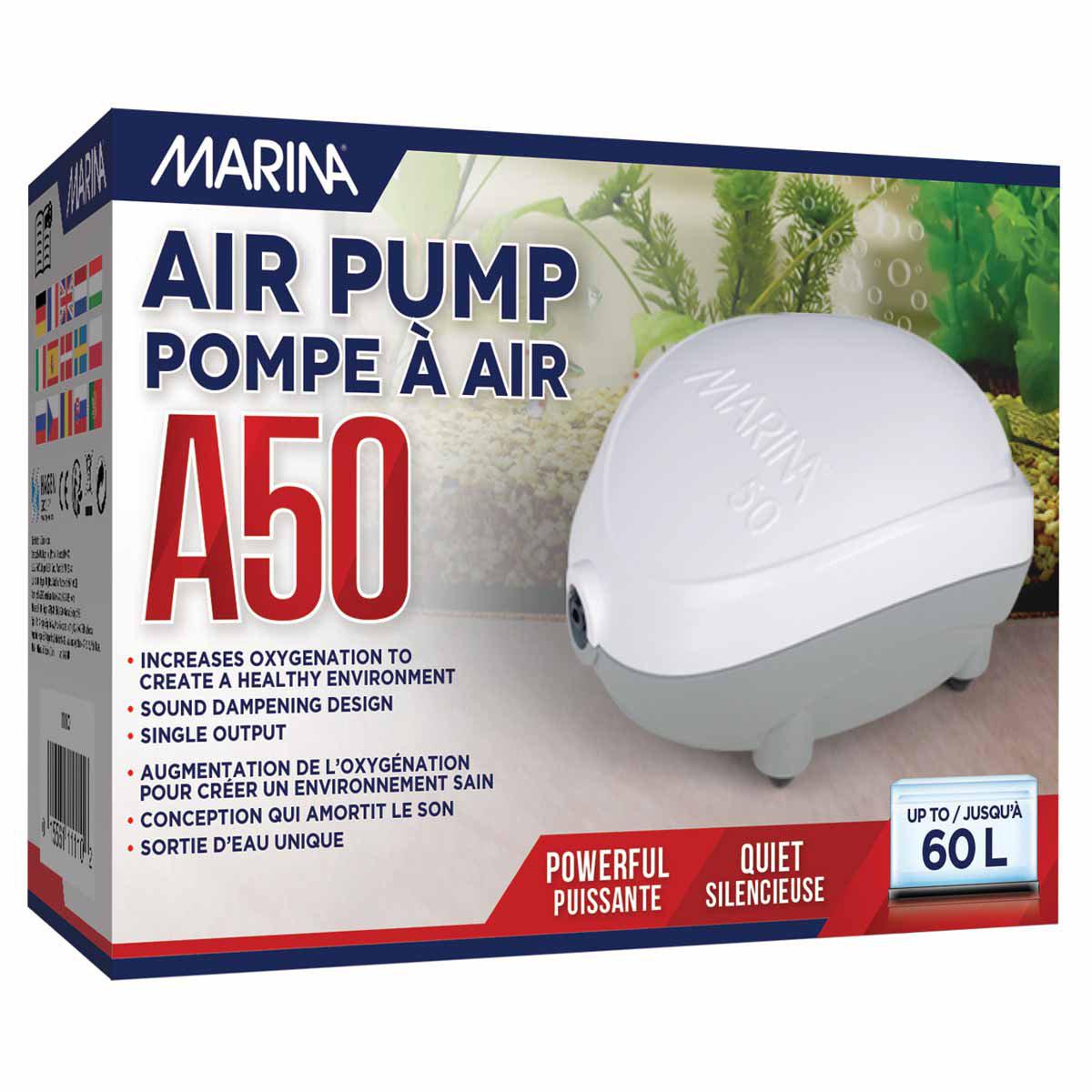 53177868779849_image1