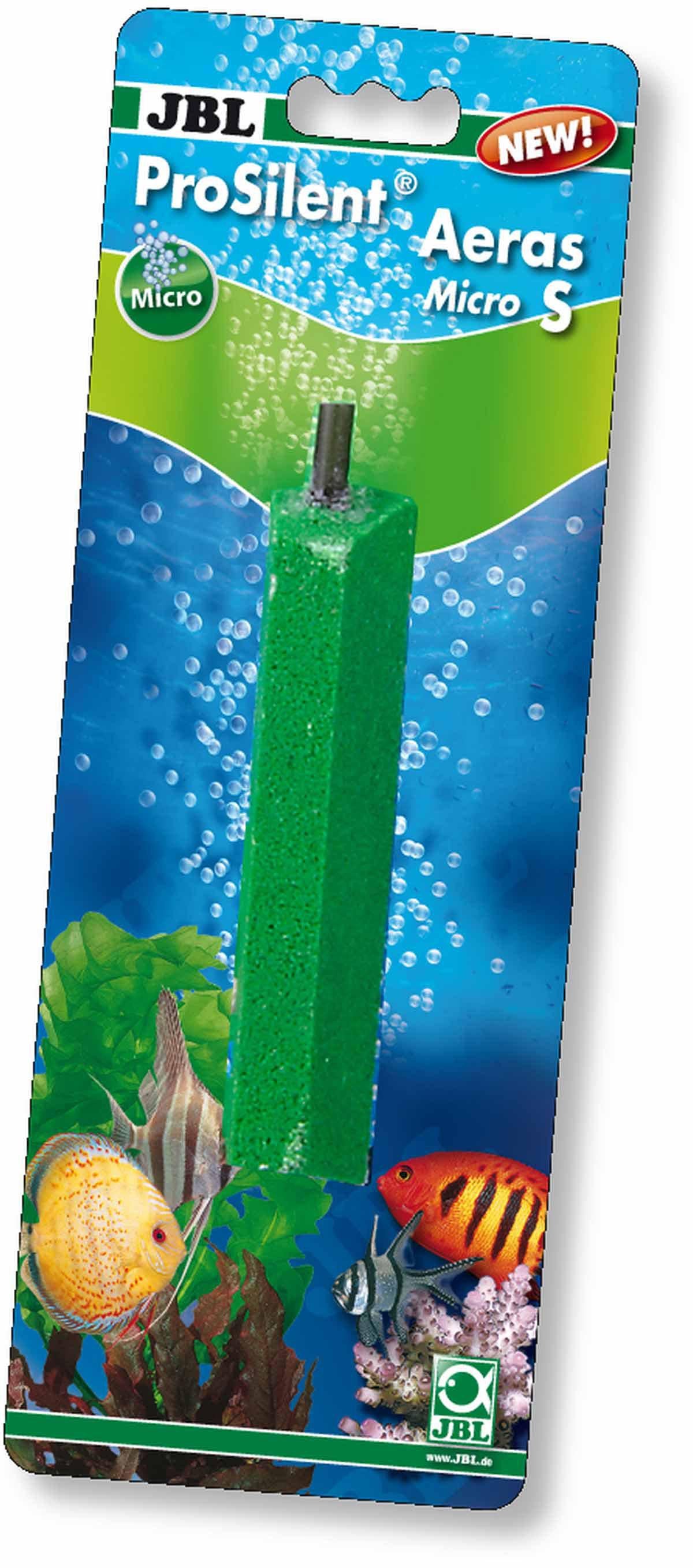 53177651200329_image1