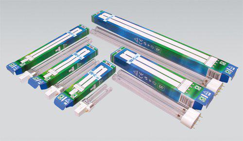 53176965431625_image1