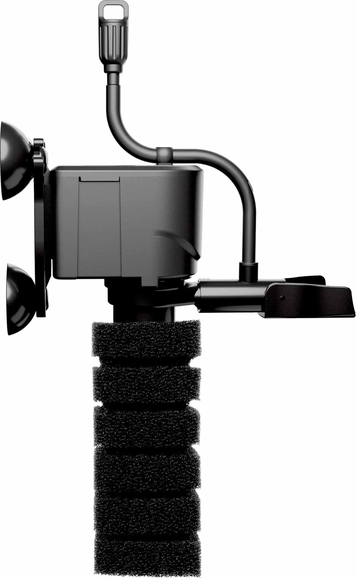 53179093221705_image1