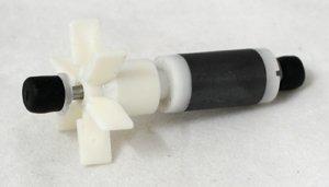 53178559299913_image1