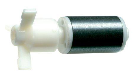 53173999042889_image1