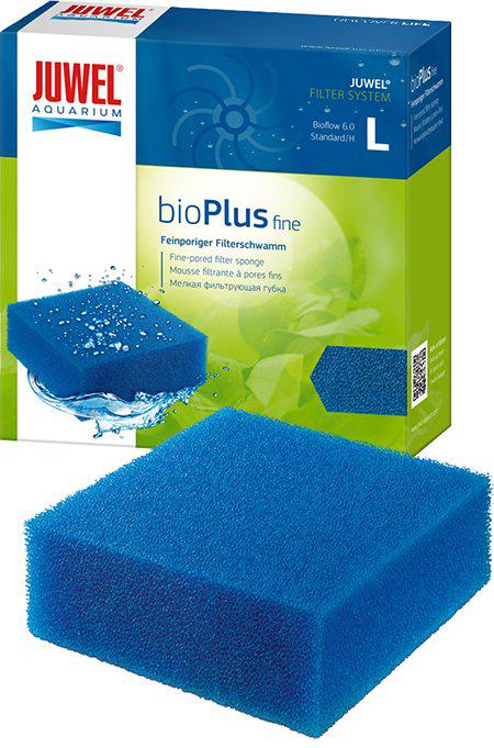 53178526695753_image1