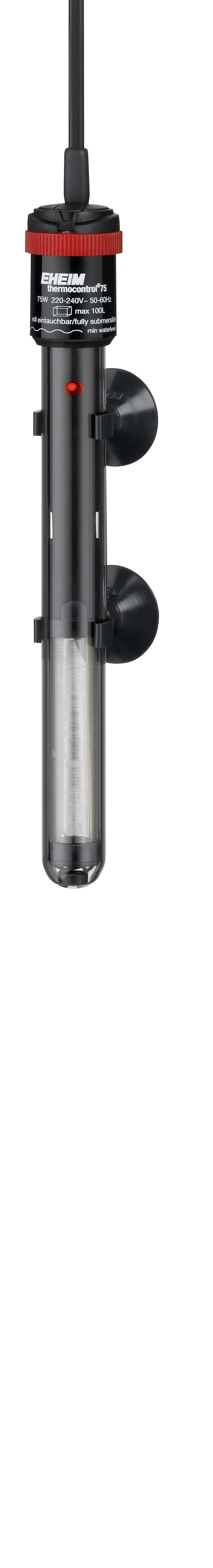 53179722498377_image1