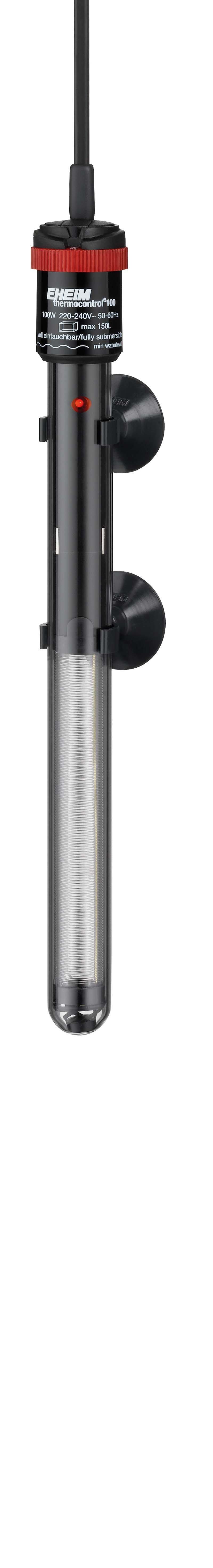 53179722531145_image1