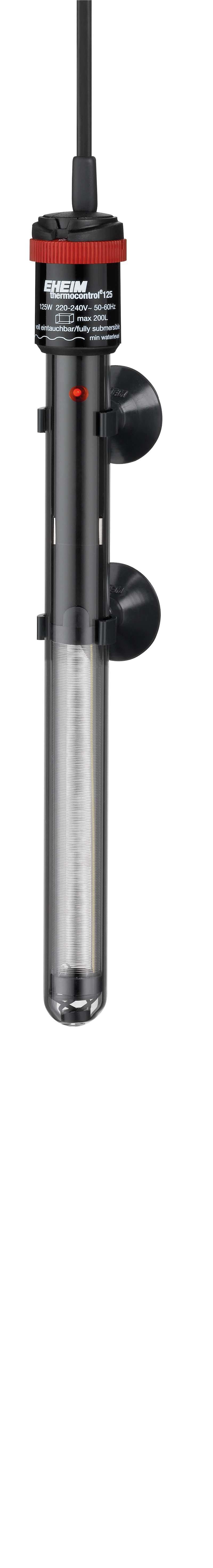 53179722563913_image1