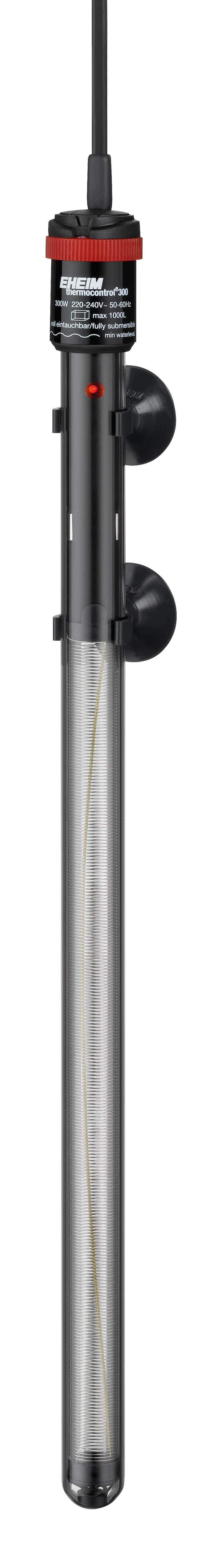 53179722727753_image1