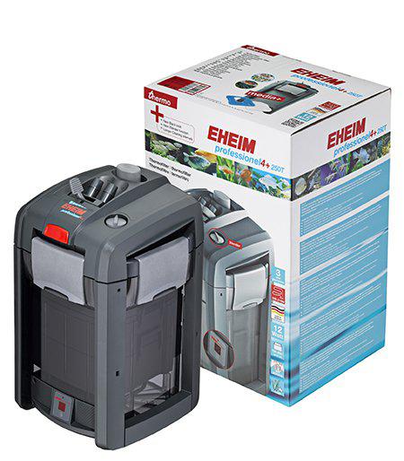 53195337662793_image1