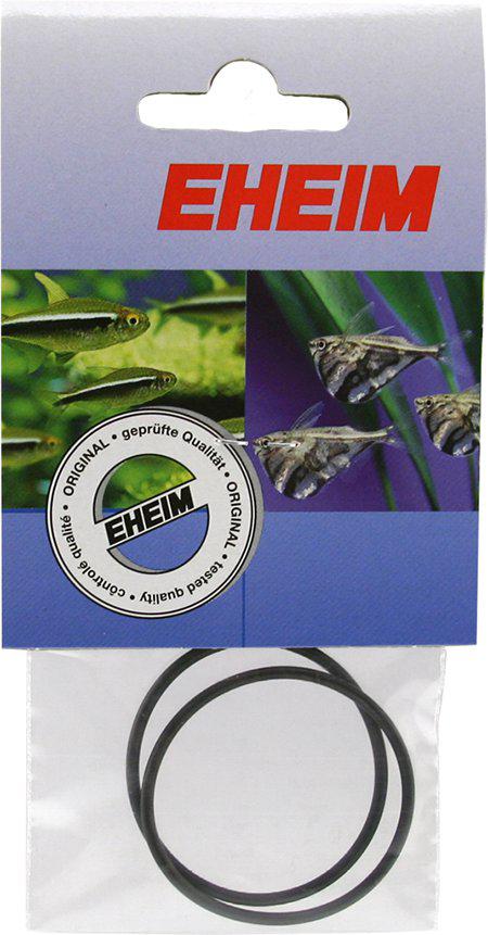 53174112747849_image1