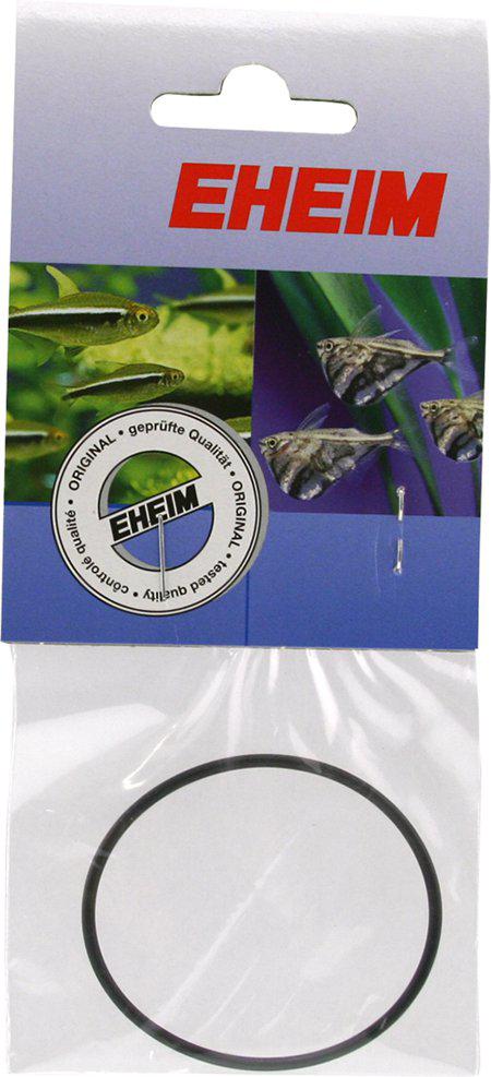 53176304795977_image1